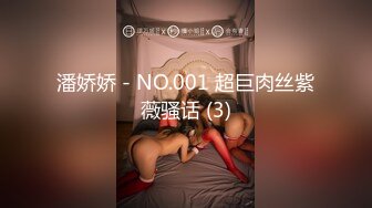 潘娇娇 - NO.001 超巨肉丝紫薇骚话 (3)