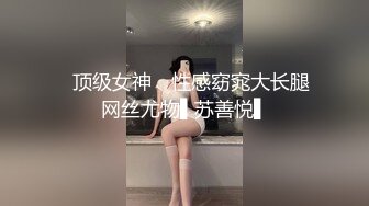 ✿顶级女神✿ 性感窈窕大长腿网丝尤物▌苏善悦▌