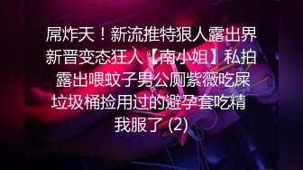 屌炸天！新流推特狠人露出界新晋变态狂人【南小姐】私拍 露出喂蚊子男公厕紫薇吃屎垃圾桶捡用过的避孕套吃精 我服了 (2)