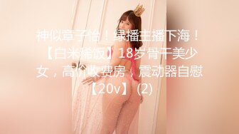 神似章子怡！绿播主播下海！【白米稀饭】18岁骨干美少女，高价收费房，震动器自慰【20v】 (2)