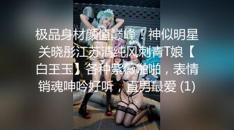 极品身材颜值巅峰！神似明星关晓彤江苏清纯风刺青T娘【白玊玉】各种紫薇啪啪，表情销魂呻吟好听，直男最爱 (1)