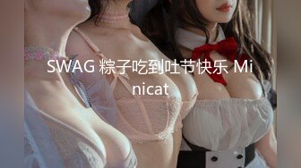 SWAG 粽子吃到吐节快乐 Minicat