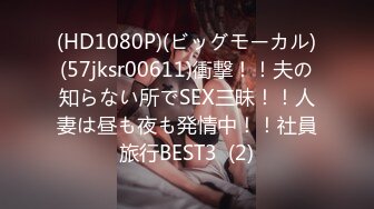 (HD1080P)(ビッグモーカル)(57jksr00611)衝撃！！夫の知らない所でSEX三昧！！人妻は昼も夜も発情中！！社員旅行BEST3  (2)