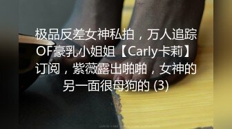 极品反差女神私拍，万人追踪OF豪乳小姐姐【Carly卡莉】订阅，紫薇露出啪啪，女神的另一面很母狗的 (3)