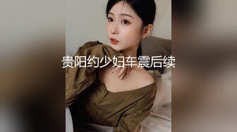 贵阳约少妇车震后续