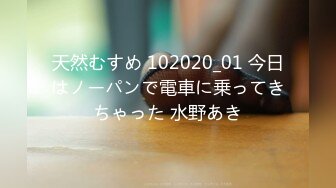 天然むすめ 102020_01 今日はノーパンで電車に乗ってきちゃった 水野あき