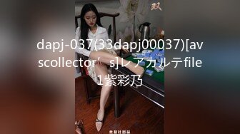 dapj-037(33dapj00037)[avscollector’s]レアカルテfile1紫彩乃