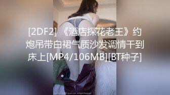 [2DF2] 《酒店探花老王》约炮吊带白裙气质沙发调情干到床上[MP4/106MB][BT种子]