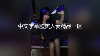 中文字幕欧美人妻精品一区