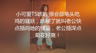 小可爱TS琥珀 很会舔龟头吃鸡的骚妖，吃硬了就叫老公快点插向她的骚逼，老公插深点菊花好爽！