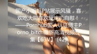 国产小姐姐P站展示风骚，喜欢吃大屌喜欢玩炮机自慰！——Pornhub国人认证博主Porno_bitch最新高清视频合集【63V】 (42)