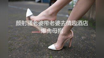 颜射骚老婆带老婆去情趣酒店爆肏母狗