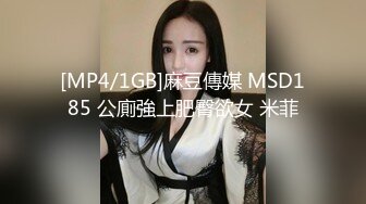 [MP4/1GB]麻豆傳媒 MSD185 公廁強上肥臀欲女 米菲