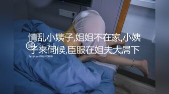 情乱小姨子,姐姐不在家,小姨子来伺候,臣服在姐夫大屌下