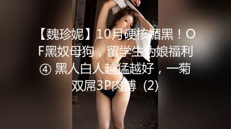 【魏珍妮】10月硬核媚黑！OF黑奴母狗，留学生伪娘福利④ 黑人白人越猛越好，一菊双屌3P肉搏  (2)