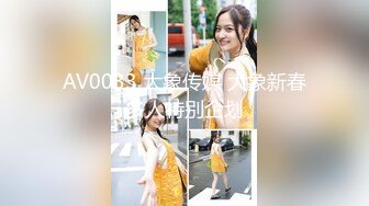 AV0033 大象传媒 大象新春多人特别企划