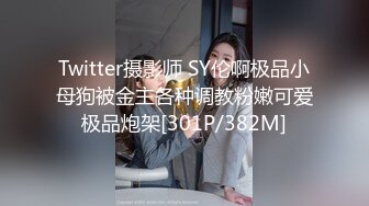 Twitter摄影师 SY伦啊极品小母狗被金主各种调教粉嫩可爱极品炮架[301P/382M]