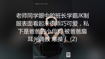 老师同学眼中的班长学霸JK制服表面看起来很乖巧可爱，私下是爸爸的小母狗 被爸爸扇耳光调教 爆操！ (2)